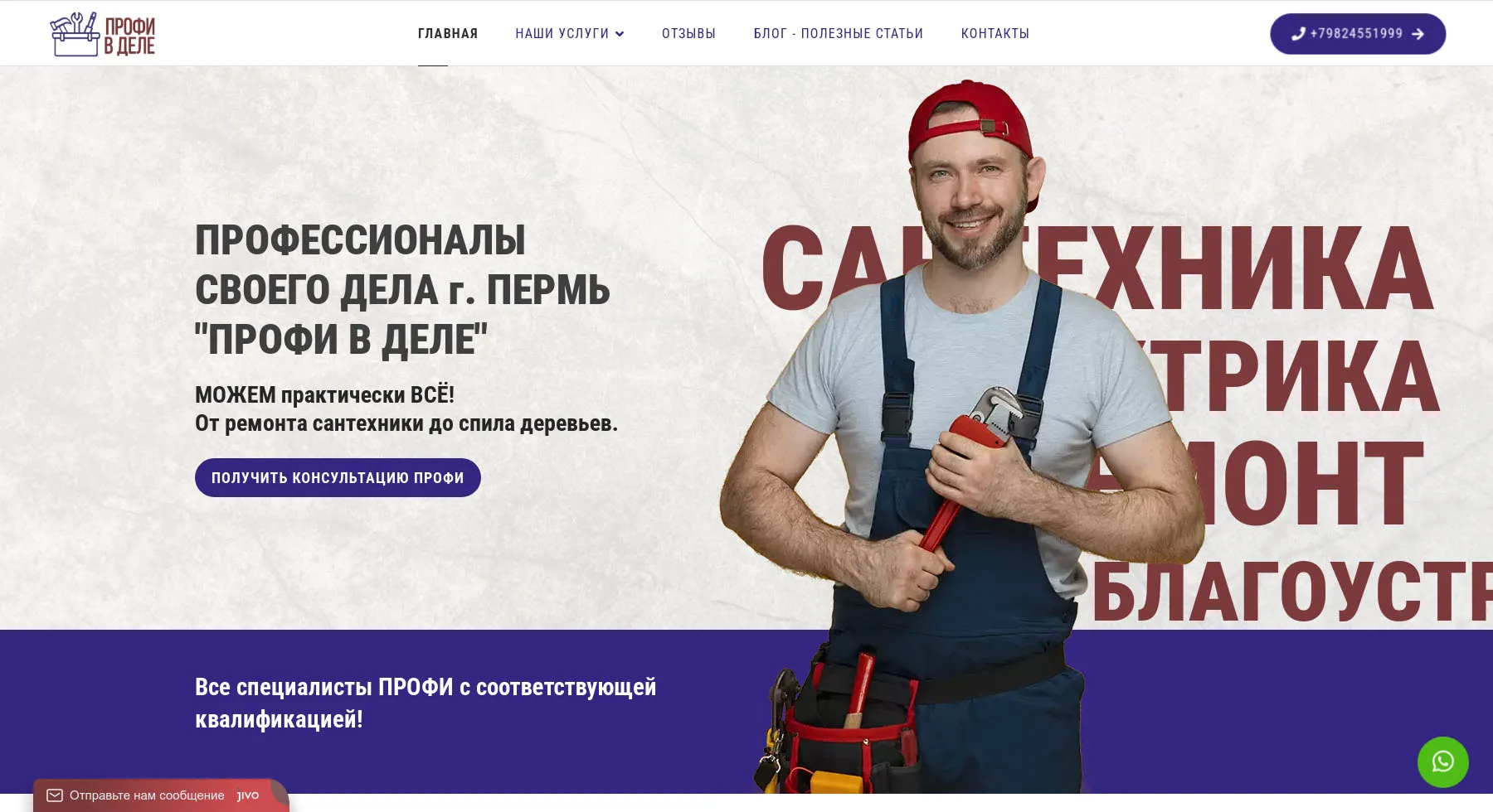 Сайт Бизнес - для компании Профи в деле