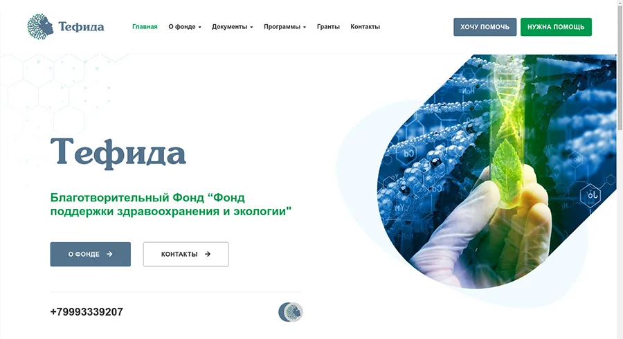 Сайт Бизнес для компании Тефида 